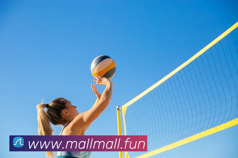 开云账号中心登录入口平台生态图